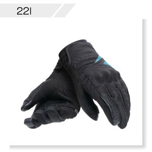 yzTRENTO D-DRY GLOVES WMN@S̏Cۏؕt DAINESEi_Cl[[j