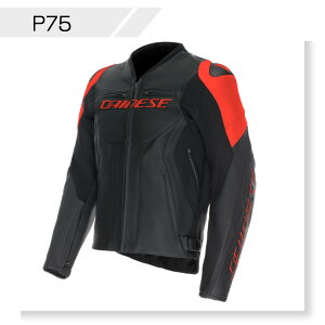 yzRACING 5 LEATHER JACKET S̏Cۏؕt DAINESE(_Cl[[)