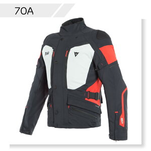 yzCARVE MASTER 2 D-AIR GORE-TEX S̏Cۏؕt DAINESE(_Cl[[)