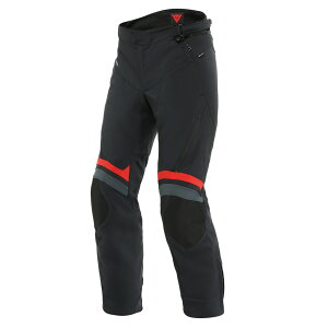 yzCARVE MASTER 3 GORE-TEX PANTS oCN SAebNX pc ~ S̏Cۏؕt DAINESEi_Cl[[j