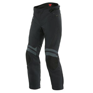 yzCARVE MASTER 3 GORE-TEX PANTS oCN SAebNX pc ~ S̏Cۏؕt DAINESEi_Cl[[j