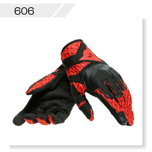 yzAIR-MAZE UNISEX GLOVES@S̏Cۏؕt DAINESEi_Cl[[j