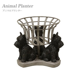 yzhbOv^[ Aj}v^[ IuWF K[fjO CeA W  Ck  mΑn animal