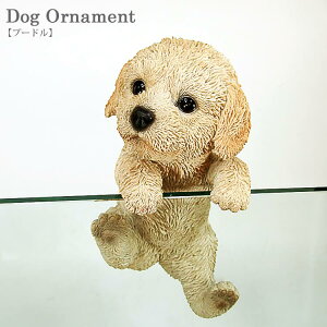 SSԒXi|Cgő20{yz̒u v[h Ԃ牺  q hbOI[ig CX^f IuWF CeA mΑn animal