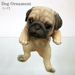 SSԒXi|Cgő20{yz̒u pO Ԃ牺  q hbOI[ig CX^f IuWF CeA mΑn animal