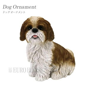 }\ԒXi|Cgő20{yzi  I[ig hbOI[ig V[Y[ CX^f IuWF fBXvCp CeA ybg u A