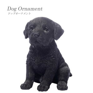 yzuh[ go[ hbOI[ig CX^f ߋ IuWF fBXvCp CeA ybg u { A q Mtg 蕨 mΑn animal