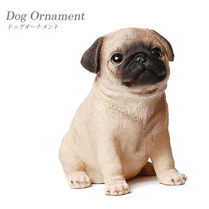 yzpO hbOI[ig CX^f ߋ IuWF fBXvCp CeA ybg u { A q Mtg 蕨 mΑn animal