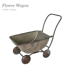 yz t[X^h K[fjO K[fACA uL Jo[  t[S ԑ ԏ K[fjOX^h ؐ S ACA uL mΑn amz Clip