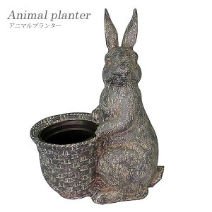 T͓Xi|Cgő20{yzAj}v^[ t[|bg v^[ Jo[ pot Aؔ ETM AeB[N W K[fjO K[f  Vr[  804