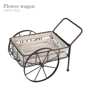 T͓Xi|Cgő20{yzi  t[S S bN AeB[N ؐ S K[fjO K[f  Vr[ 86719 mΑn