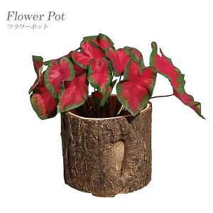 BLACKFRIDAYXiPő20{yz Aؔ v^[ ꌊt  ؂芔 t[|bg  K[fjO Jo[ u 86270 mΑn