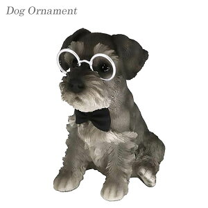 SSԒXi|Cgő20{yzhbOI[ig I[ig u IuWF  dog W CeA ViEU[ 14260 mΑn animal