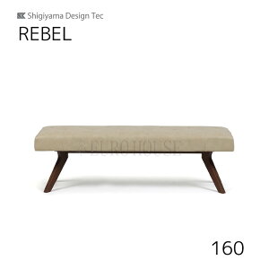 T͓X|Cgő20{yz160x` u REBEL 160 MBR IV _CjO[ ؐ rO_CjO VM}ƋH sy-d