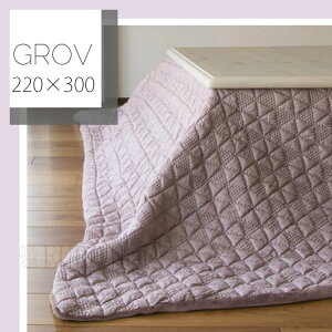 1͓XSi|Cg11{yzzc |zc x R^c 220cm×300cm ` Vv sN  Ou GROV ʔ H|