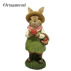 yzrbgI[ig ETM Xq ̎q 13440 rabbit u  W Aj} IuWF fBXvC CeA  CX^f 蕨 _ CX^f anima