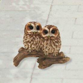 【送料無料】バードオーナメント フクロウ ふくろう ツイン レジン 梟の置物 オブジェ アニマル ディスプレイ インテリア 野鳥 動物 ギフト プレセント 贈り物 animal