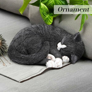 SSԒXi|Cgő20{yzI[ig L A  K[fI[ig IuWF K[f o}    a G u _