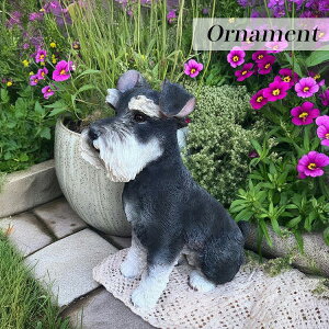 SSԒXi|Cgő20{yzI[ig ViEU[L q Ck hbO CeA  u K[fI[ig IuWF K[f o}    a