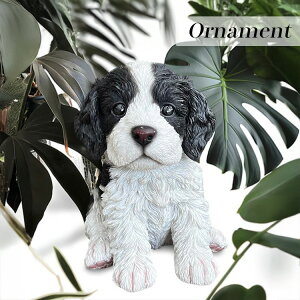 SSԒXi|Cgő20{yzI[ig RbJv[ q Ck hbO CeA  u K[fI[ig IuWF K[f o}    a 