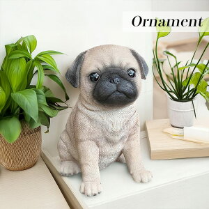 yzI[ig pO q Ck hbO CeA  u K[fI[ig IuWF K[f o}    a G u _