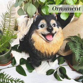 【送料無料】オーナメント ポメラニアン 黒 犬 インテリア 犬 置物 ガーデンオーナメント オブジェ ガーデン お出迎え 動物 癒し おしゃれ 和む 雑貨 置物 野川農園