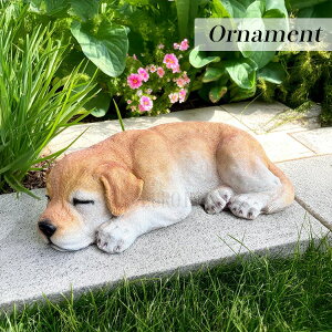 BLACKFRIDAYXiPő20{yzI[ig go[ Q q Ck hbO CeA  u K[fI[ig IuWF K[f o}    a 