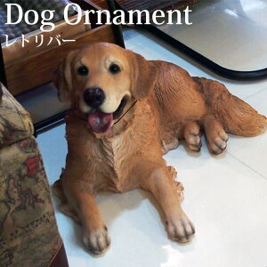 SSԒXi|Cgő20{yz郌go[ ̒u  W Aj}IuWF fBXvC CeA Mtg vZg 蕨 CX^f animal