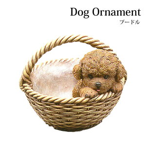 T͓Xi|Cgő20{yzhbOI[ig v[hoXPbg ̒u Ck  ^  W Aj}IuWF fBXvC CeA Mtg v