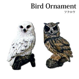 【送料無料】バードオーナメント フクロウ ふくろう 左右2個セット オブジェ アニマル ディスプレイ インテリア小物 レジン 梟の置物 インテリア 野鳥 動物 ギフト プレセント 贈り物 animal