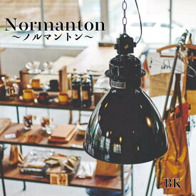 週末は店内商品ポイント最大20倍【送料無料】電球付属無 ペンダントライト ブラック グレー 間接照明 スチール ペンダントランプ LED電球対応 ギフト ビンテージ リビング 玄関 インターフォルム