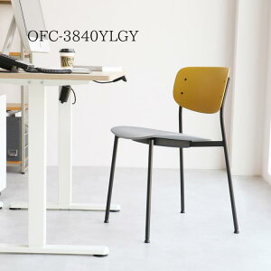 30���͓X�����i�|�C���g�ő�20�{�y���������z�`�F�A 05 �X�`�[�� Chair 05 steel �X�`�[���`�F�A �_�C�j���O�`�F�A �C���_�X�g���A���Ƌ� ���_���`�F�A �H��֎qoffice �s��Ƌ�