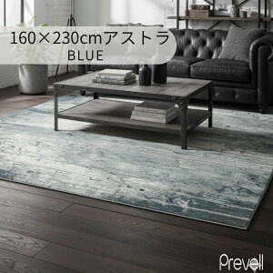 �T���͓X�����i�|�C���g�ő�20�{�y���������z���O �J�[�y�b�g �O�~ 160×230cm BL �u���[ GY �O���[ �E�B���g�� �z�b�g�J�[�y�b�g�J�o�[�� �h�� ���ۓI�g���R�� ���_�� �A�X�g�� �v���[�x��