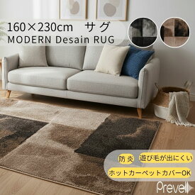 15日迄ずっと店内商品P最大20倍【送料無料】ラグ カーペット サグ 160×230 BR ブラウン BK ブラック ホットカーペットカバー可 モダン ラグ おしゃれ ラグ リビング絨毯 敷物 プレーベル
