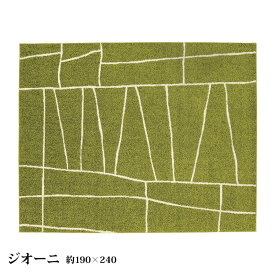 マラソン期間中店内商品ポイント最大20倍【送料無料】ラグ 日本製 オールシーズン対応 省エネ ラグカーペット 長方形 190×240cm 全5色 ホットカーペットカバー可 タフテッドカーペット センターラグ スペースカーペット 絨毯 敷物 ナイロン ジオーニ プレーベル