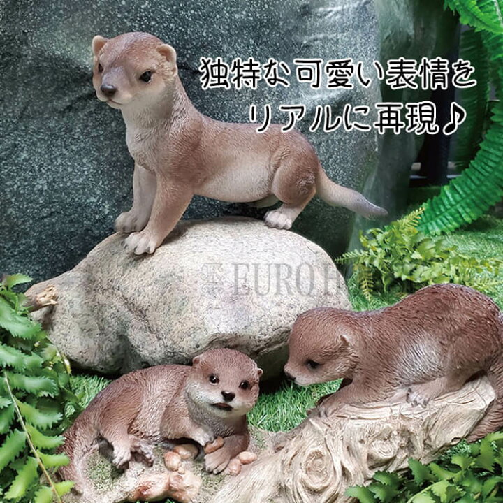 楽天市場】マラソン期間中店内商品ポイント最大20倍【送料無料 