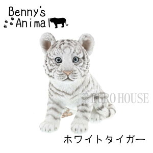 3Xi|Cgő20{yzAj} I[ig  g  zCg WH ^CK[ E A W Aj}IuWF CeA vZg CX^f animal