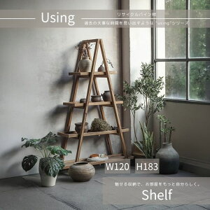 18���͓X�����i�|�C���g�ő�20�{�y���������z�V�F���t shelf Y607 �V�F���t ��^�{�I ���[���b�N �f�B�X�v���C�V�F���t �ؐ��V�F���t ����183 ���r���O���[ ��^ �������{�I �k���V�F���t �t