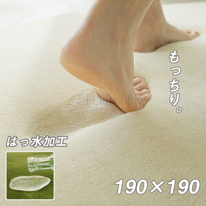 T͓Xi|Cgő20{yzOX^C O J[ybg zf[vX 190x190 Or[` ͂ ᔽ rO zbgJ[ybgΉ  ȒP Z O