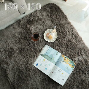 T͓Xi|Cgő20{yzO J[ybg VtH O[W 190×190 ܂ O}CNt@Co[ R hL Ag CI Vііh~ ׂ~ rO 