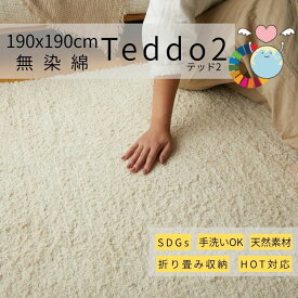 マラソン期間中店内商品ポイント最大20倍【送料無料】ラグ テッド2 190×190cm ナチュラル 天然素材ラグ 洗えるラグ 綿100ラグ サステナブルラグ インド製ラグ 北欧 HOT対応ラグ SDGsラグ グラムスタイル