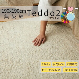 SSԒXi|Cgő20{yzO ebh2 190×190cm i` VRfރO 􂦂郉O 100O TXeiuO ChO k HOTΉO SDGsO OX^C