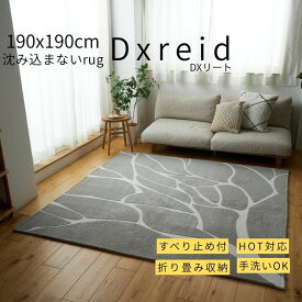 マラソン期間中店内商品ポイント最大20倍【送料無料】ラグ D×リート2 190×190cm グレー 洗えるラグ ウレタンラグ 折り畳みラグ 床暖対応ラグ ホットカーペット対応ラグ グラムスタイル 滑り止め付きラグ おしゃれラグ 北欧モダンラグ