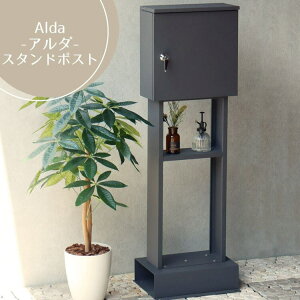 yzX^h|Xg Alda A_ _[NO[ O[W  |Xg post X֎ JWA S   MOJYU