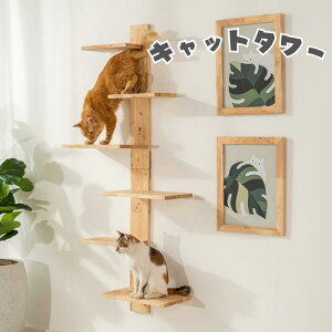 【送料無料】キャットタワー ペットと一緒に楽しむ暮らし 組立 シンプル 一人暮らし 新生活 リビング ダイニング 寝室 安価 NovaRoom
