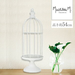 yzfBXvC o[hQ[W ^ K[fjO K[f  CeA IuWF GKg AeB[N  Vr[ 880188