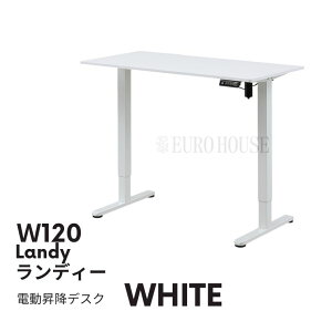 XSi|Cg11{yz120d~fXN Landy fB[ d~e[u ~e[u Z~bNe[u  ubNACA e[u  [NfXN ݑ