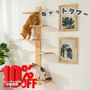 SSԒXi|Cgő20{yzLbg^[ ybgƈꏏɊyޕ炵 g Vv l炵 V rO _CjO Q  NovaRoom