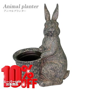 yzAj}v^[ t[|bg v^[ Jo[ pot Aؔ ETM AeB[N W K[fjO K[f  Vr[  80423 mΑn animal