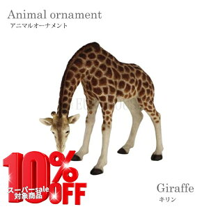 yzI[ig  L  I[ig K[fjO   IV  IuWF G   14196 mΑn Clip